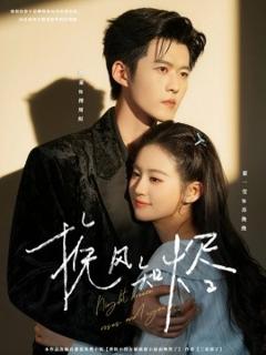 免费在线观看《挽风知烬》