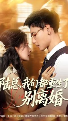 免费在线观看《陆总我们都重生了别离婚》
