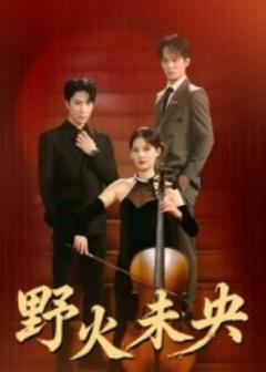 免费在线观看《野火未央》