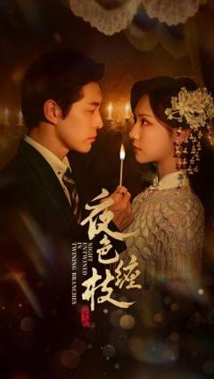 免费在线观看《夜色缠枝》