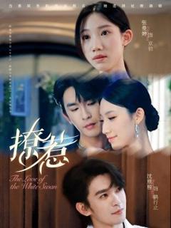 免费在线观看《撩惹短剧版》