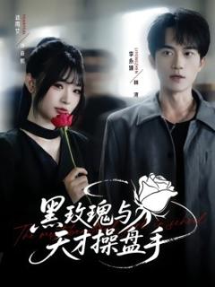 免费在线观看《黑玫瑰与天才操盘手》