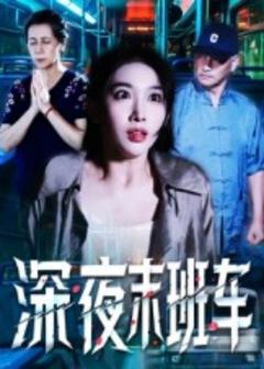 免费在线观看《深夜末班车》
