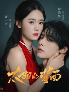 免费在线观看《太阳的背面》