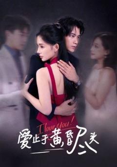 免费在线观看《爱止于黄昏尽头》