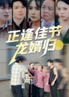 免费在线观看《正逢佳节龙婿归》