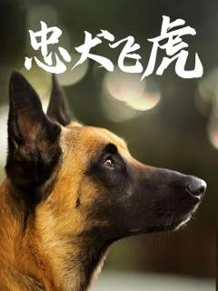免费在线观看《忠犬飞虎》
