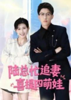 免费在线观看《陆总忙追妻喜提四萌娃》