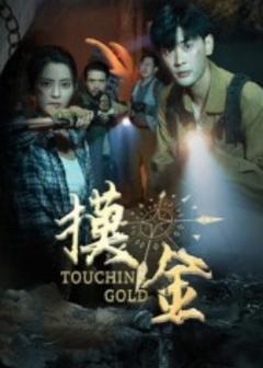 免费在线观看《摸金短剧版》