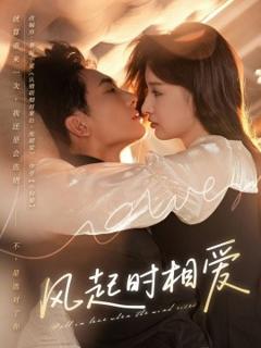 免费在线观看《风起时相爱》