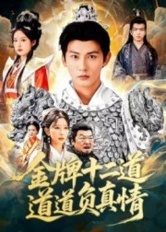 免费在线观看《金牌十二道道道负真情》
