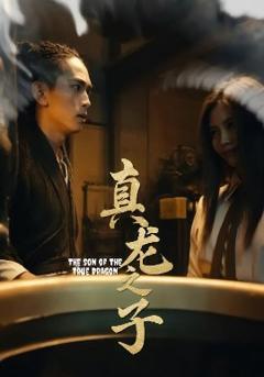 免费在线观看《真龙之子》