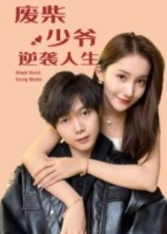 免费在线观看《废柴少爷的逆袭人生》