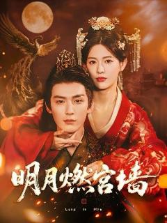 免费在线观看《明月燃宫墙》