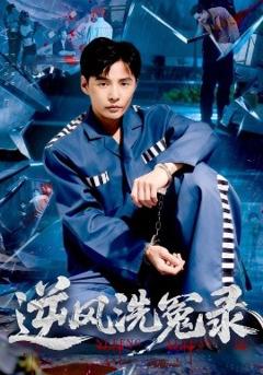 免费在线观看《逆风洗冤录》