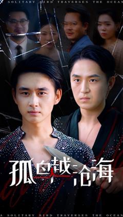 免费在线观看《孤鸟越沧海》