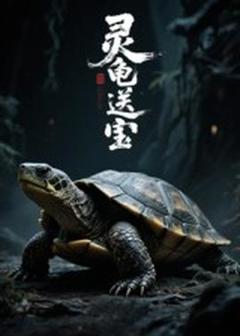 免费在线观看《灵龟送宝》
