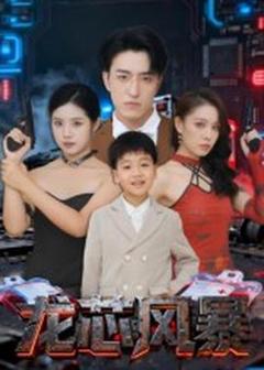 免费在线观看《龙芯风暴》