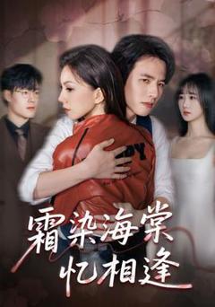 免费在线观看《霜染海棠忆相逢》