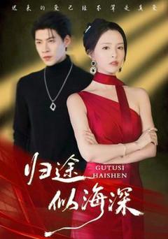 免费在线观看《归途似海深》