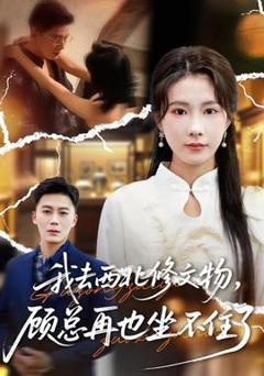 免费在线观看《我去西北修文物，顾总再也坐不住了》