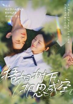 免费在线观看《梧桐树下，相思成空》