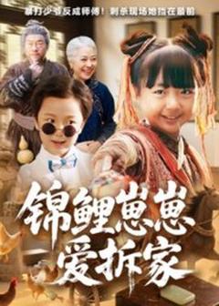 免费在线观看《锦鲤崽崽爱拆家》