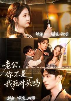 免费在线观看《老公，你不是我死对头吗》