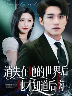 消失在她的世界后她才知道后悔