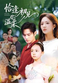 免费在线观看《恰逢初见你温柔》