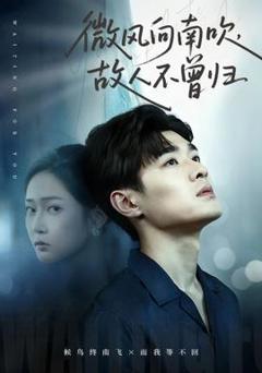 免费在线观看《微风向南吹，故人不曾归》