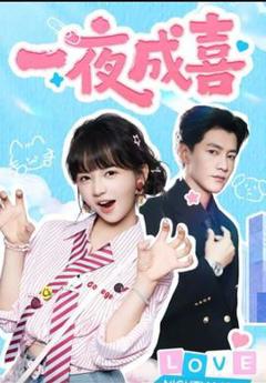 免费在线观看《一夜成喜》