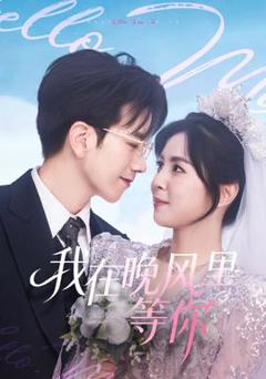 免费在线观看《我在晚风里等你》