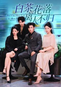 免费在线观看《白茶花落离人》