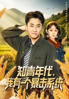 免费在线观看《知青年代，我有一个暴击系统》