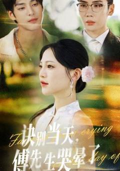 免费在线观看《诀别当天傅先生哭晕了》