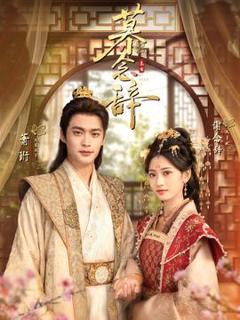 免费在线观看《慕念辞》