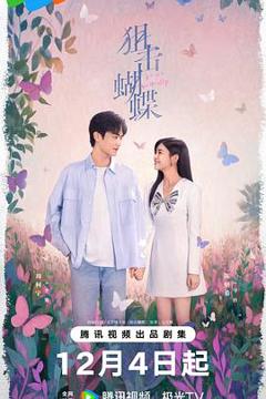 免费在线观看《狙击蝴蝶》