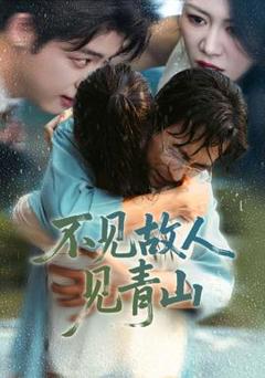 免费在线观看《不见故人见青山》