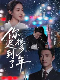 免费在线观看《你迟到了很多年》