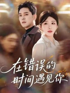 在错误的时间遇见你
