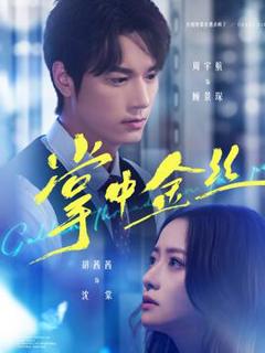 免费在线观看《掌中金丝》