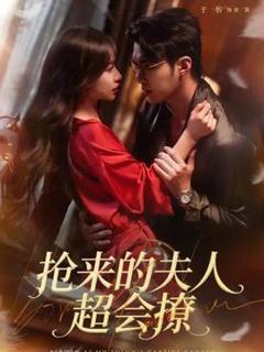 免费在线观看《抢来的夫人超会撩》