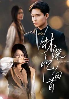 免费在线观看《林深忆白首》