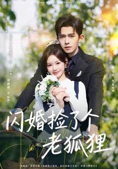 免费在线观看《闪婚捡了个老狐狸》