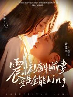免费在线观看《震惊！废物前妻竟是全能King》