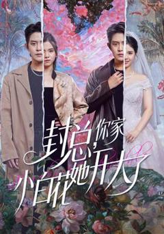 免费在线观看《封总，你家小白花她开大了》