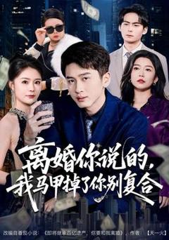 免费在线观看《离婚你说的，我马甲掉了你别复合》
