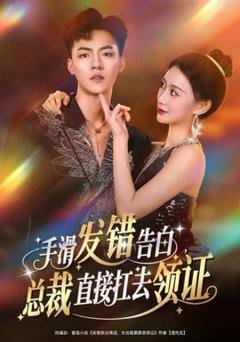 免费在线观看《手滑发错告白，总裁直接扛去领证》
