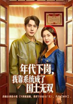 免费在线观看《年代下岗，我靠系统成了国士无双》